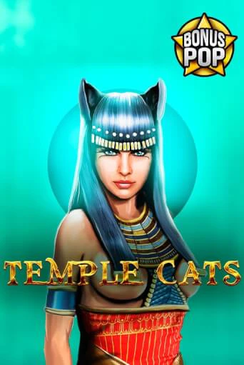 Temple Cats бесплатная демо игра онлайн казино | Poker Dom