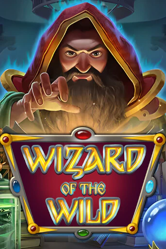 Wizard of the Wild бесплатная демо игра онлайн казино | Poker Dom